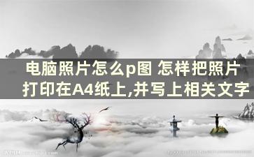 电脑照片怎么p图 怎样把照片打印在A4纸上,并写上相关文字